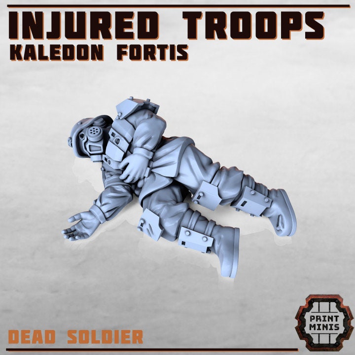 
Injured Soldiers - Kaledon Fortis, DnD, Dungeons and Dragons, 40K, Scatter, Fantasy - Print Minis