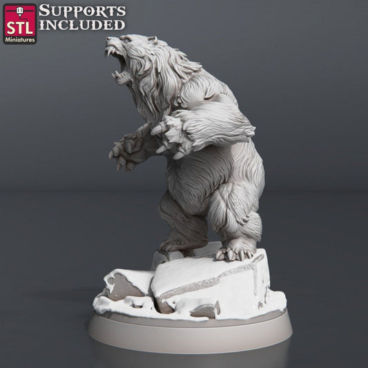 3pc Bear Miniatures Set DnD Dungeons and Dragons 28mm/32mm Monster Warrior TTRPG Wargame NPC Giant Bear Druid Wild Shape Miniature for D&D