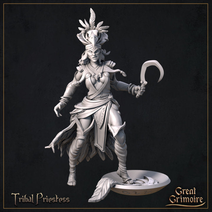 
Priestess Miniature DnD Dungeons and