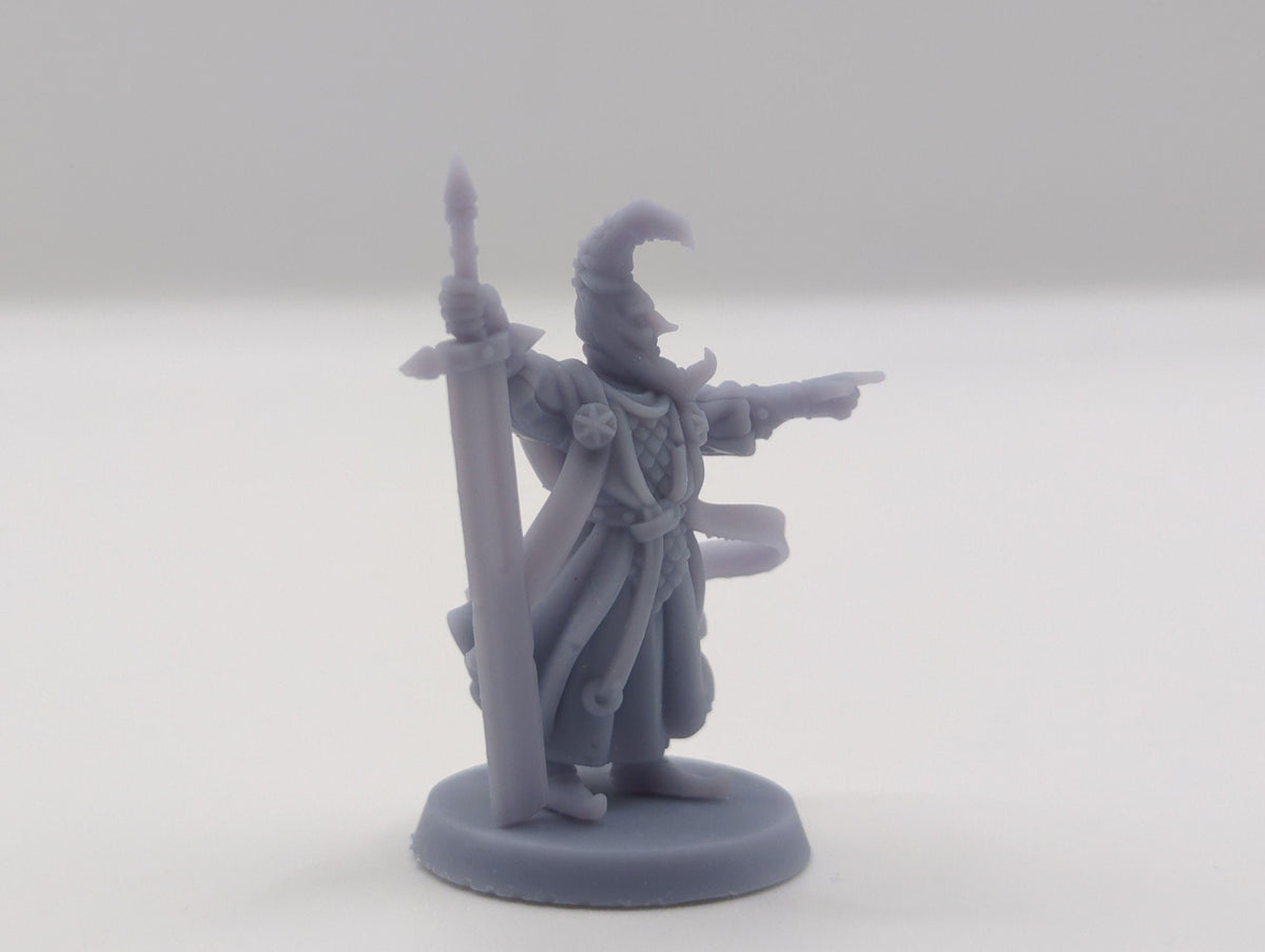 
Nightbringer DnD Dungeons and Dragons 28mm/32mm TTRPG Fantasy Wargame Miniatures Magic NPC 3D Printed Miniature NPC Medieval warrior