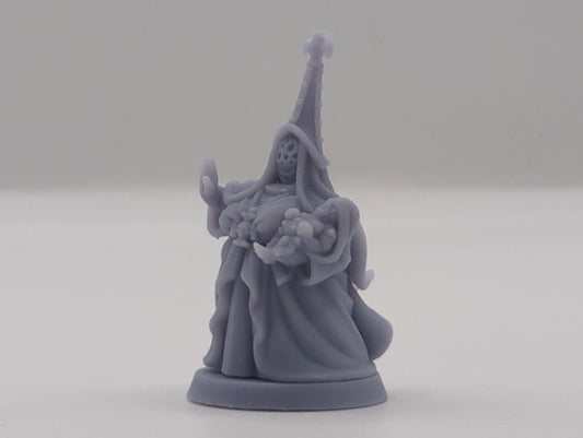 Cult Miniature DnD Dungeons and Dragons Cult Lady 28mm/32mm Figurines Wargaming Miniatures Cult Matriarch Fantasy RPG Townsfolk NPC Villager