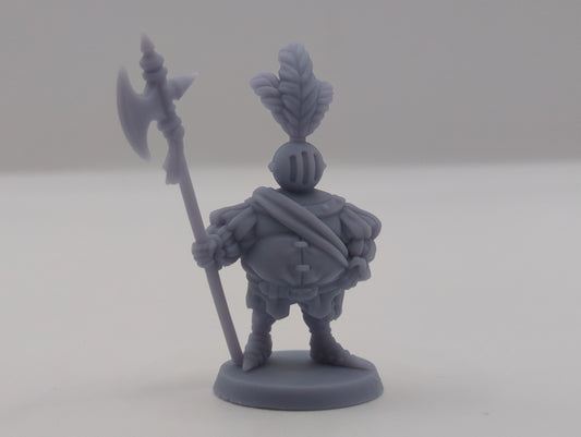 DnD Fancy Knight Miniature Dungeons and Dragons Fantasy RPG Mordheim 28mm/32mm Scale Miniatures Fantasy TTRPG Wargaming Miniature