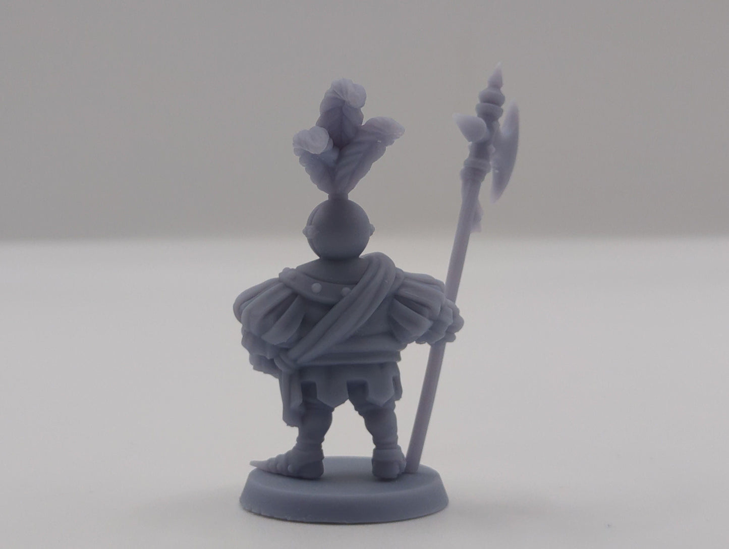 DnD Fancy Knight Miniature Dungeons and Dragons Fantasy RPG Mordheim 28mm/32mm Scale Miniatures Fantasy TTRPG Wargaming Miniature