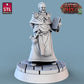 
Magistrate Set, Court Room Furniture, DnD, Dungeons and Dragons, Judge miniature, Attorney NPCs, Fantasy, Townsfolk, DnD Scatter terrain