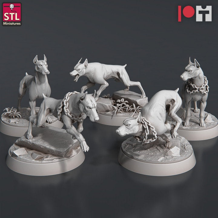 5pc Wild Dogs Set, DnD, Dungeons and Dragons, Companion NPC, Dog Minia ...
