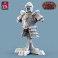 Armor Merchant Set, Vendor, DnD, Dungeons and Dragons, Wargame Miniatures, Armor miniatures, TTRPG Fantasy props, Weapons