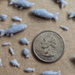 50pc Fish Miniature 3D Printed DnD Scatter Terrain Dungeons and Dragons Basing Bits for Scenery Scatter D&D TTRPG Miniature Basing Material