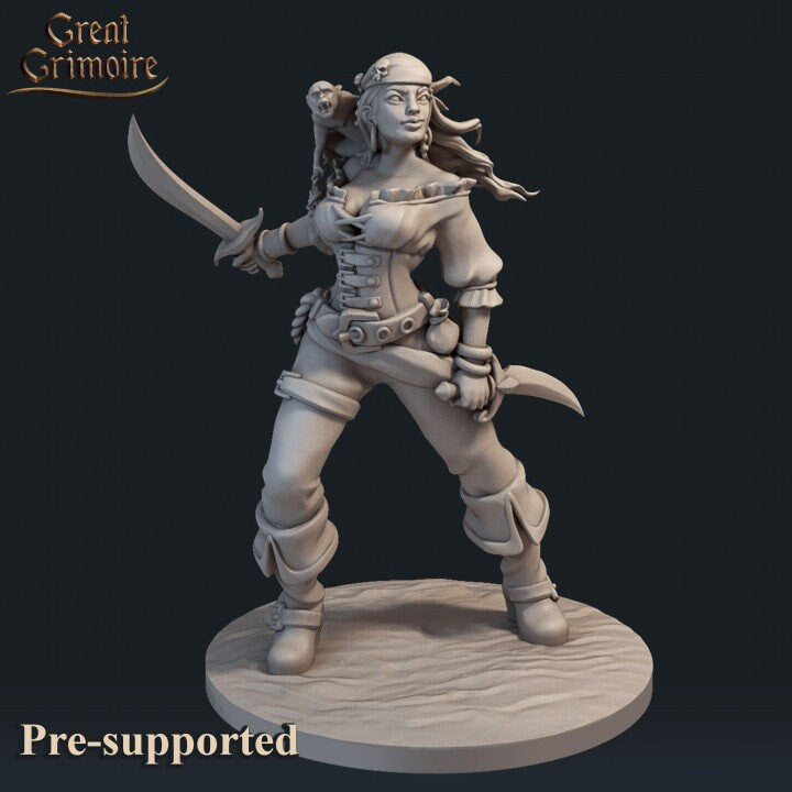 
Pirate Girl Miniature DnD Dungeons and Dragons Tabletop RPG Miniatures 28mm/32mm Sea Scatter Terrain Monkey Miniature RPG Darkfantasy