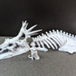 Ancient Skeletal Remains for DnD Dungeons and Dragons Tabletop RPG 28mm/32mm Skull Miniatures Bone Scatter Terrain Dinosaur Bones Miniature