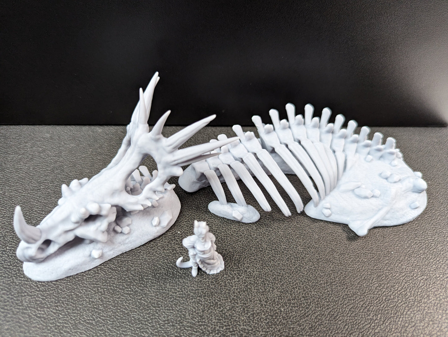 Ancient Skeletal Remains for DnD Dungeons and Dragons Tabletop RPG 28mm/32mm Skull Miniatures Bone Scatter Terrain Dinosaur Bones Miniature