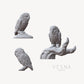 11pc Barn Owls Set DnD Dungeons and Dragons Owl Miniatures 28mm/32mm DnD Creature Fantasy TTRPG Bird Farm Scatter Terrain