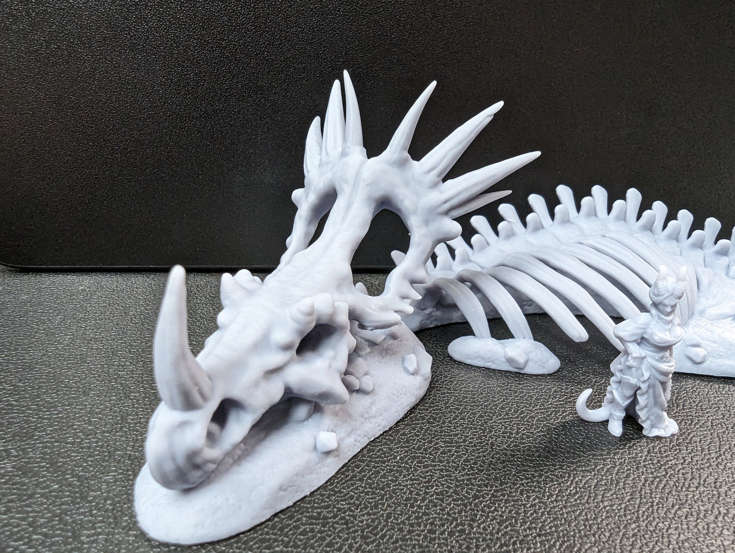 Ancient Skeletal Remains for DnD Dungeons and Dragons Tabletop RPG 28mm/32mm Skull Miniatures Bone Scatter Terrain Dinosaur Bones Miniature