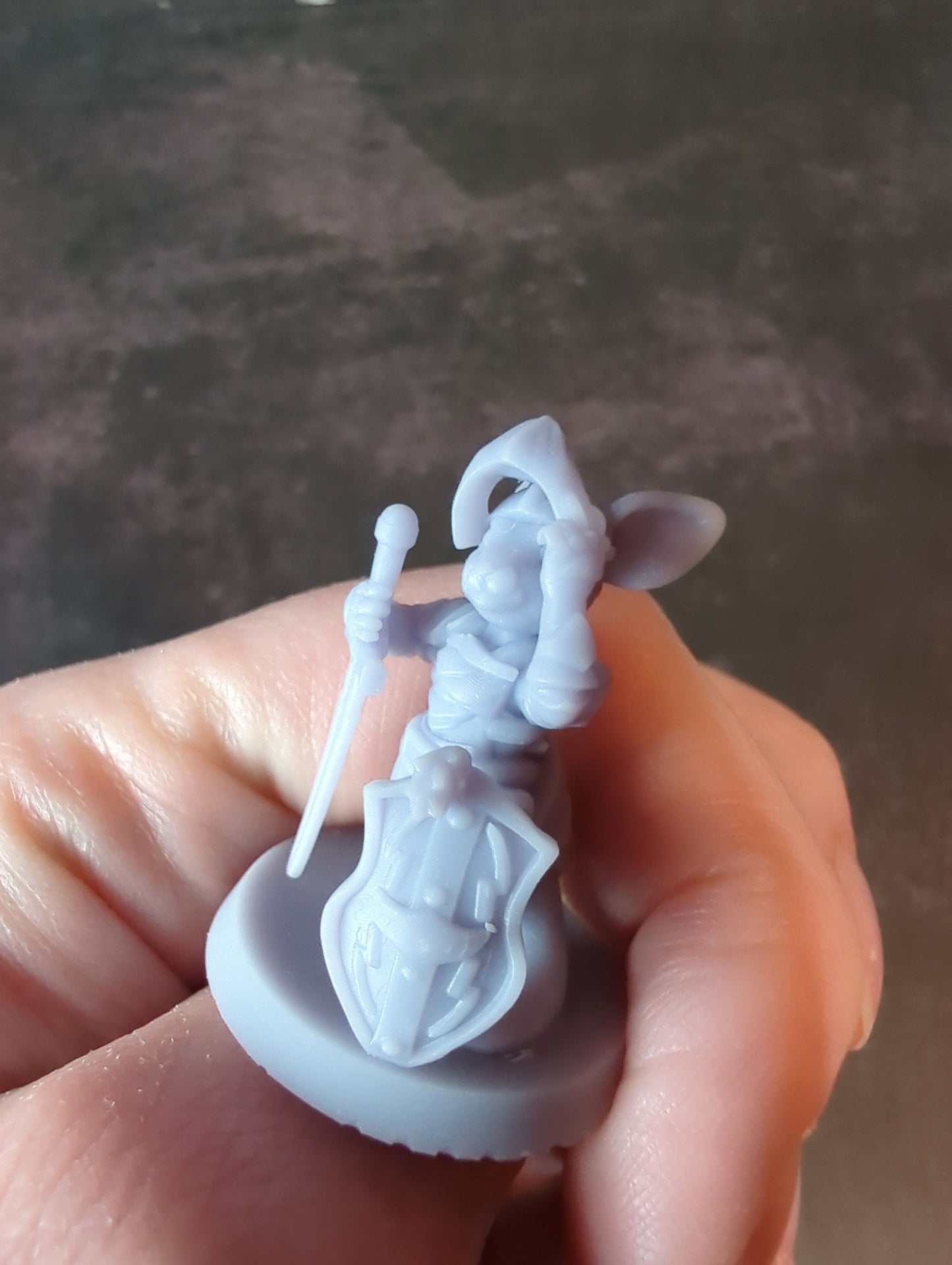 2pc Mousefolk Knight Miniatures for D&D Tabletop RPG Dungeons and Dragons Figurines 28mm 32mm Ideal for Dioramas Mouse Warrior Paladin