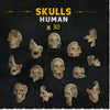 30pc Human Skulls 28mm/32mm Scale Basing Materials TTRPG Skulls Scatter Terrain Miniature Fantasy Scenery Dungeons and Dragons Warhammer 40K