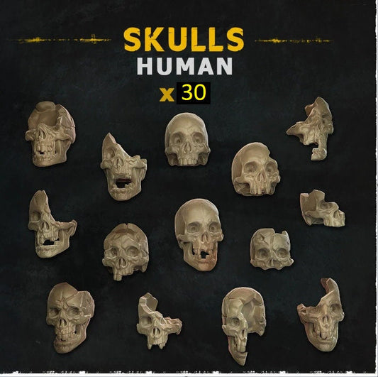 30pc Human Skulls 28mm/32mm Scale Basing Materials TTRPG Skulls Scatter Terrain Miniature Fantasy Scenery Dungeons and Dragons Warhammer 40K