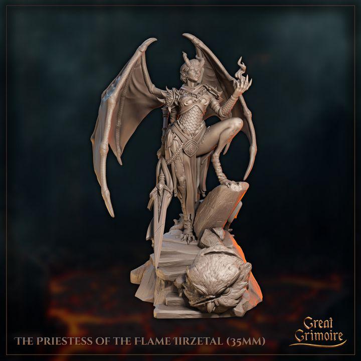 
The Priestess of the Flame Iirzetal Dungeons and Dragons 28mm/32mm/38mm Mini RPG Tabletop Miniature DnD Painting Pathfinder 5e DnD - GG