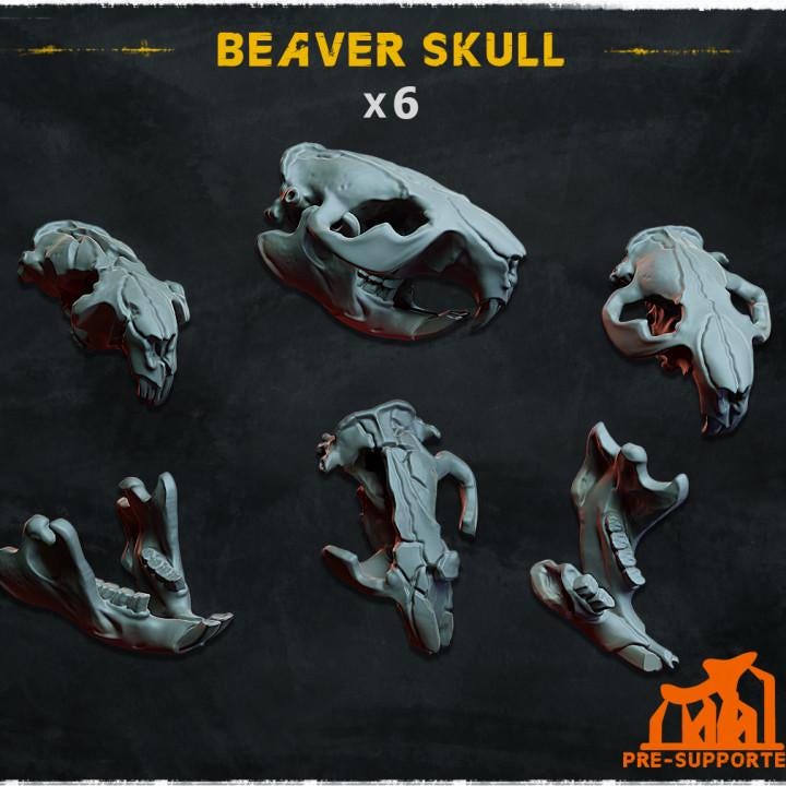 
6pc Beaver Skull basing set