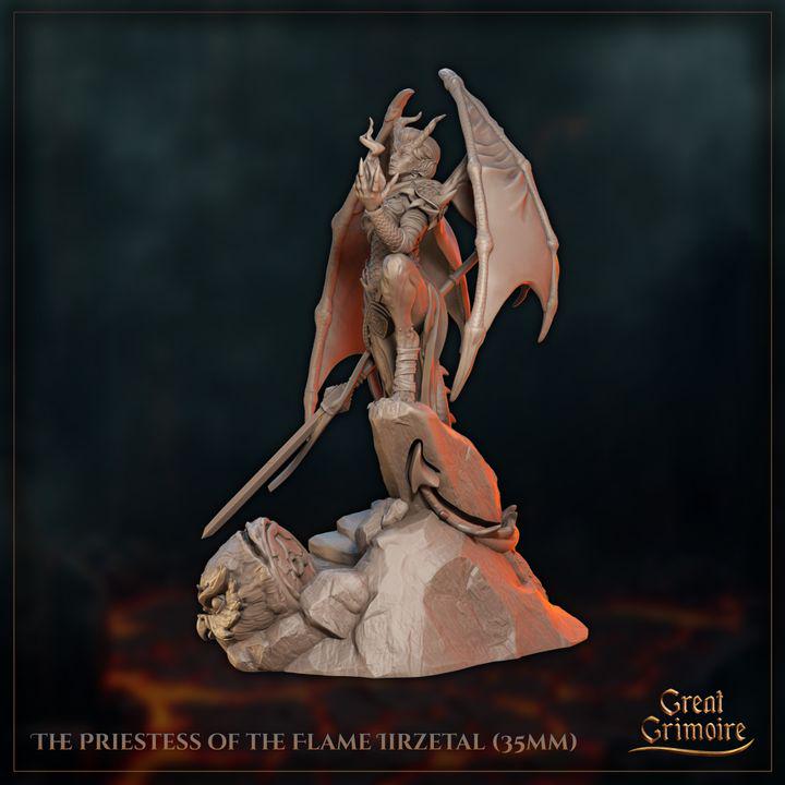 
The Priestess of the Flame Iirzetal Dungeons and Dragons 28mm/32mm/38mm Mini RPG Tabletop Miniature DnD Painting Pathfinder 5e DnD - GG — Etsy photo 3