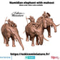 
Numidian elephant miniature photo 1