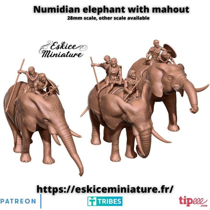 
Numidian elephant miniature photo 1