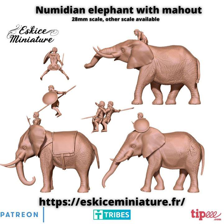 
Numidian elephant miniature photo 2
