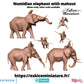 
Numidian elephant miniature photo 3
