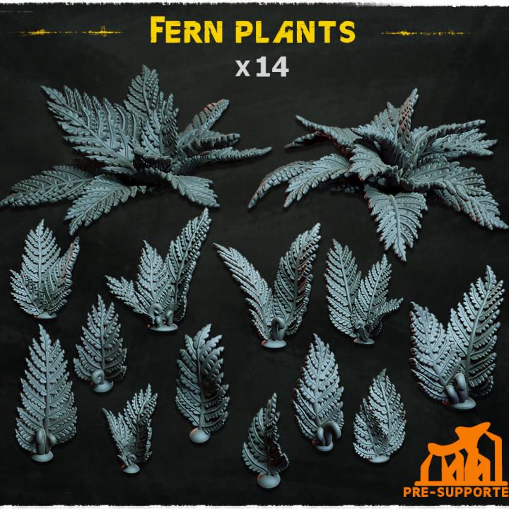 
14 piece fern plants miniature