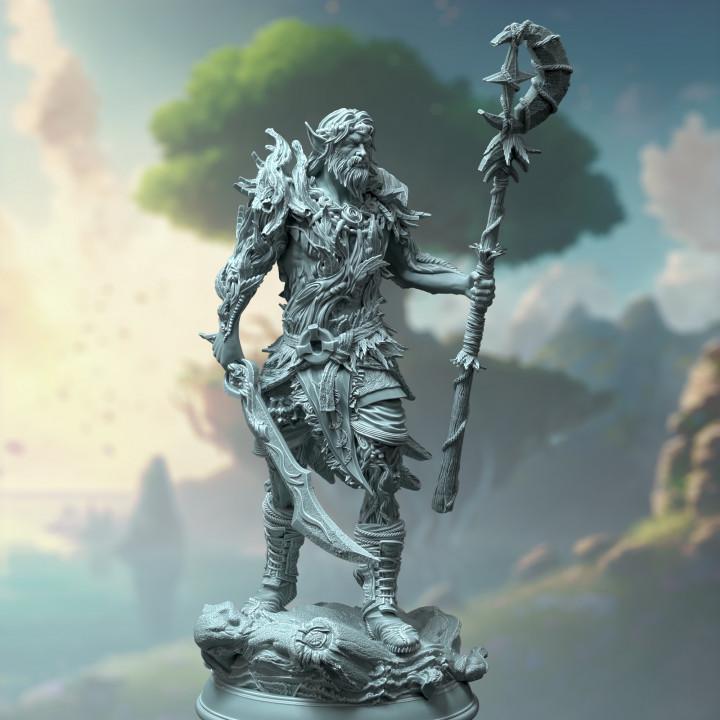 
Half Elf Druid Warden miniature image 1