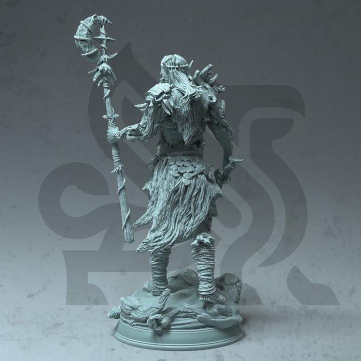
Half Elf Druid Warden miniature image 3